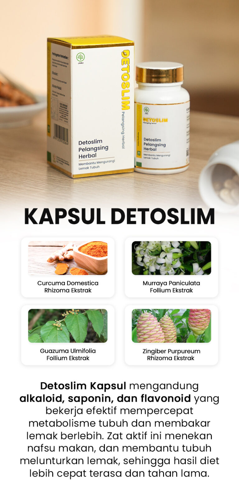 Kapsul1
